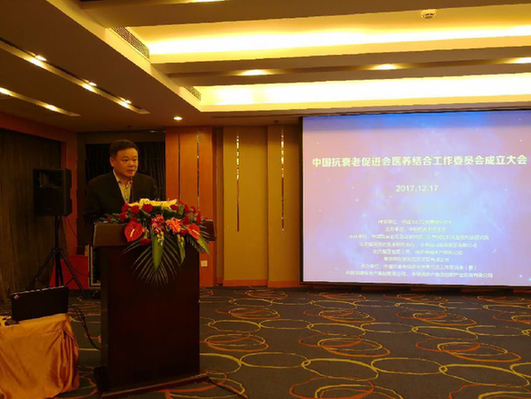 健全中国医养结合的问题及根基准则