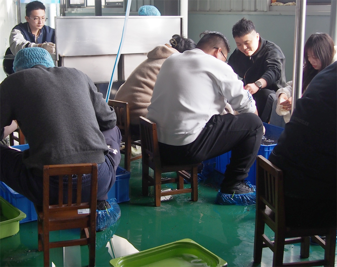 微信图片_20240628163258 微信图片_20240628163258.png