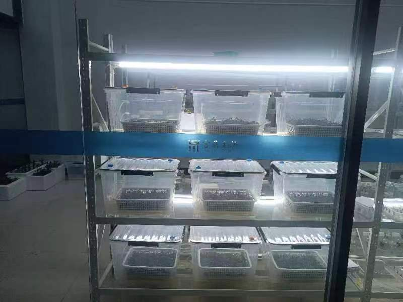 微信图片_20240628163311 微信图片_20240628163311.png