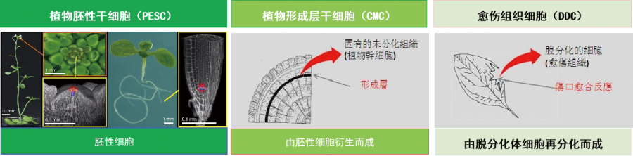 产品个性 产品个性.png