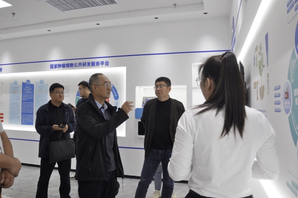 _DSC0012_副本 _DSC0012_副本.jpg