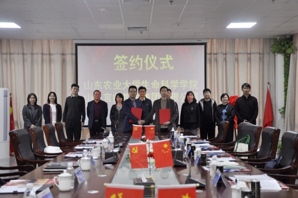 _DSC0076_副本 _DSC0076_副本.jpg
