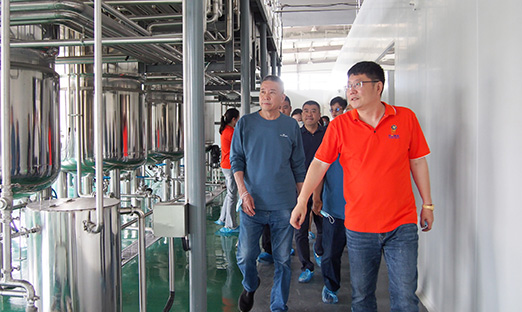 米乐集团植物胚性干细胞技术将为即墨黄酒产业赋能