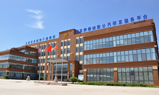 米乐集团简讯|中式养生崛起，，，，，，药食同源展示发展潜力