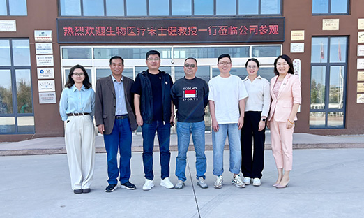 创新驱动科技，，，，，，赋能产业发展