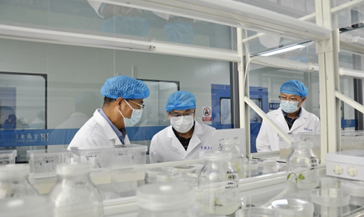 ；；；；；；；；锛攀紫蒲Ъ依蠲饕逡恍械椒妹桌旨偶牛，，，共商合作新机缘